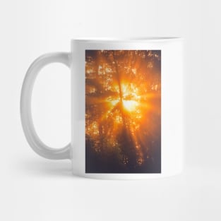 Sunbeams through tree in morning fog Mug